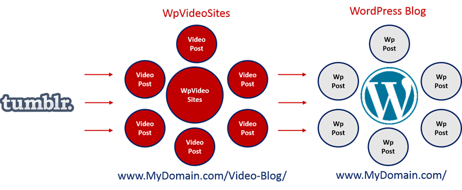 Social Media Syndication